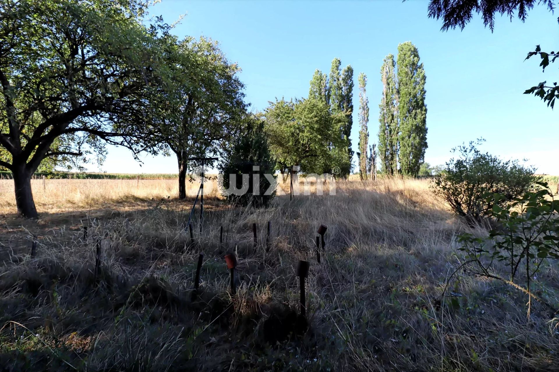 casa 6 Quartos para venda sobre Saint-Maurice-en-Rivière (71620)