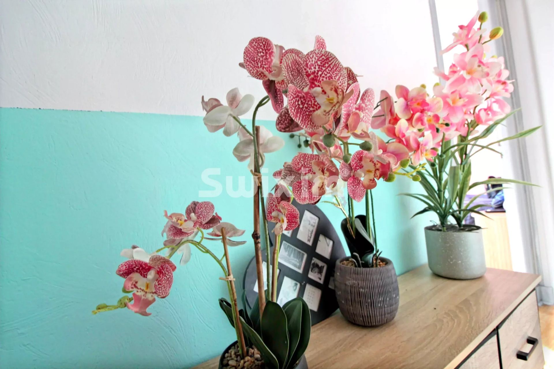 apartamento 3 Salas en venta en Tavaux (39500)