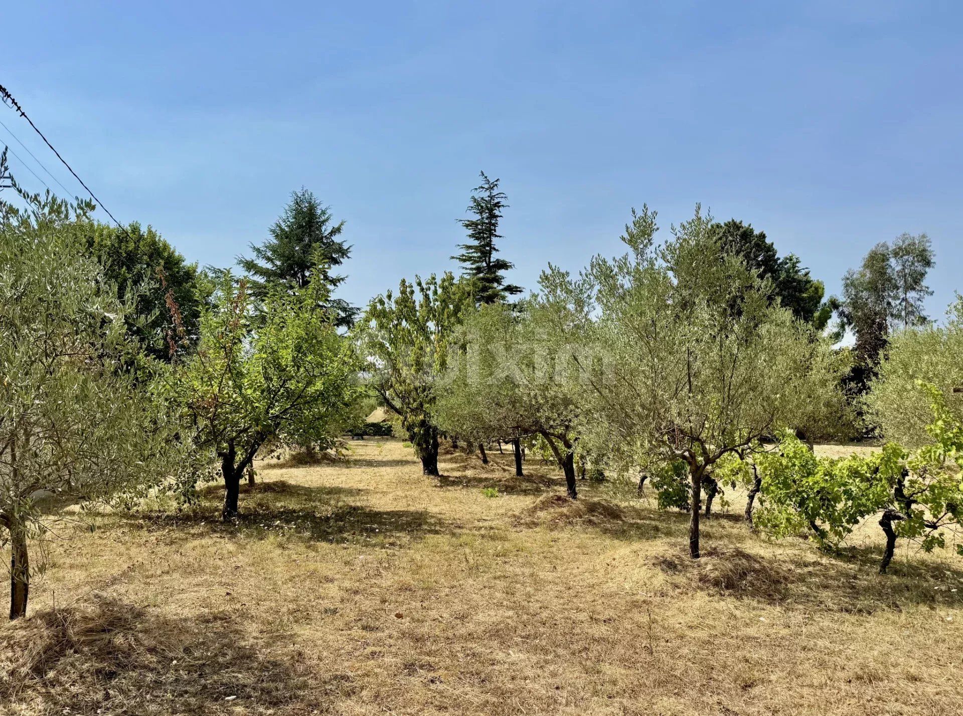 terreno in vendita su Saint-Hilaire-de-Brethmas (30560)