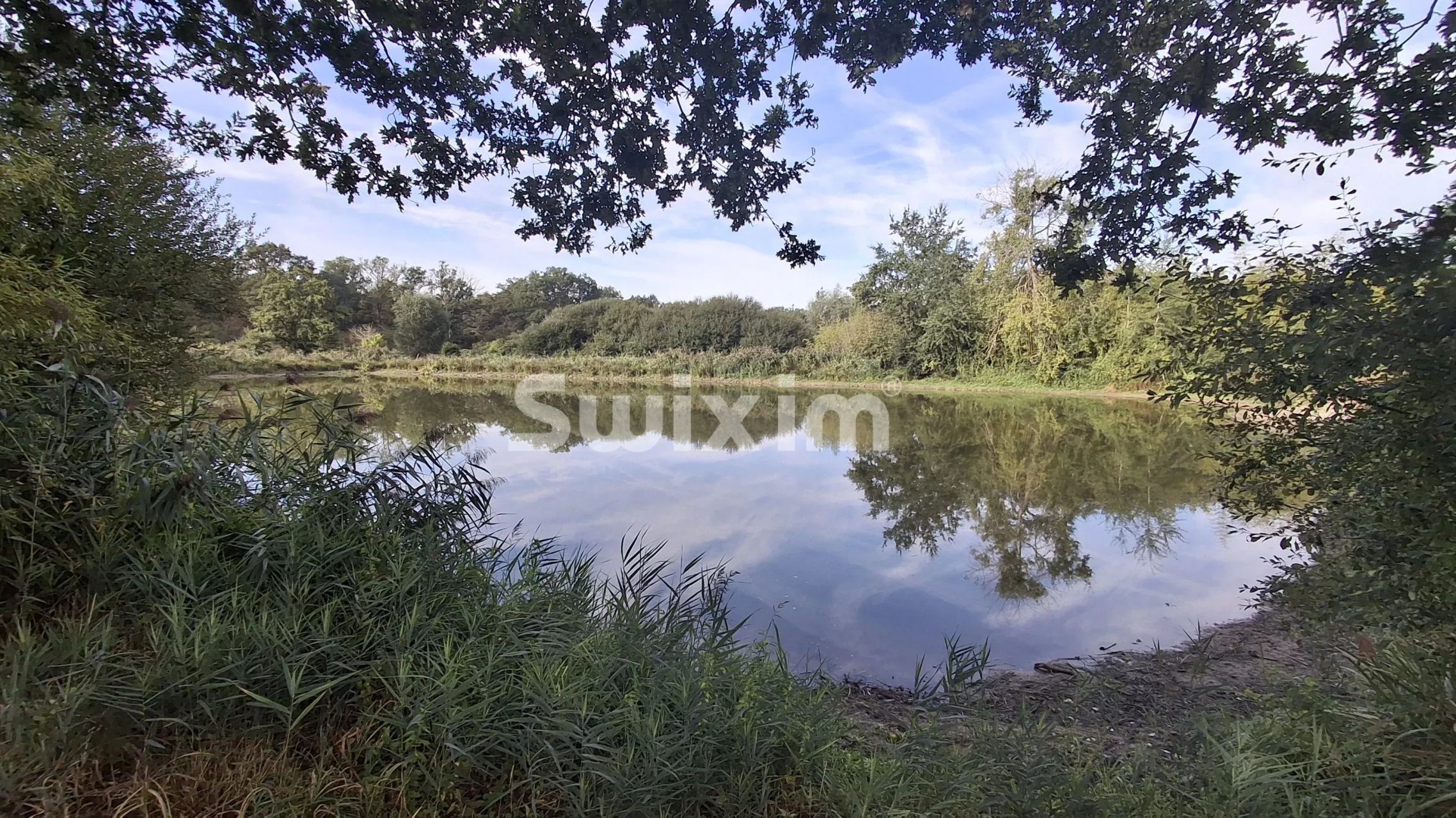 terreno in vendita su Le Controis-en-Sologne (41700)