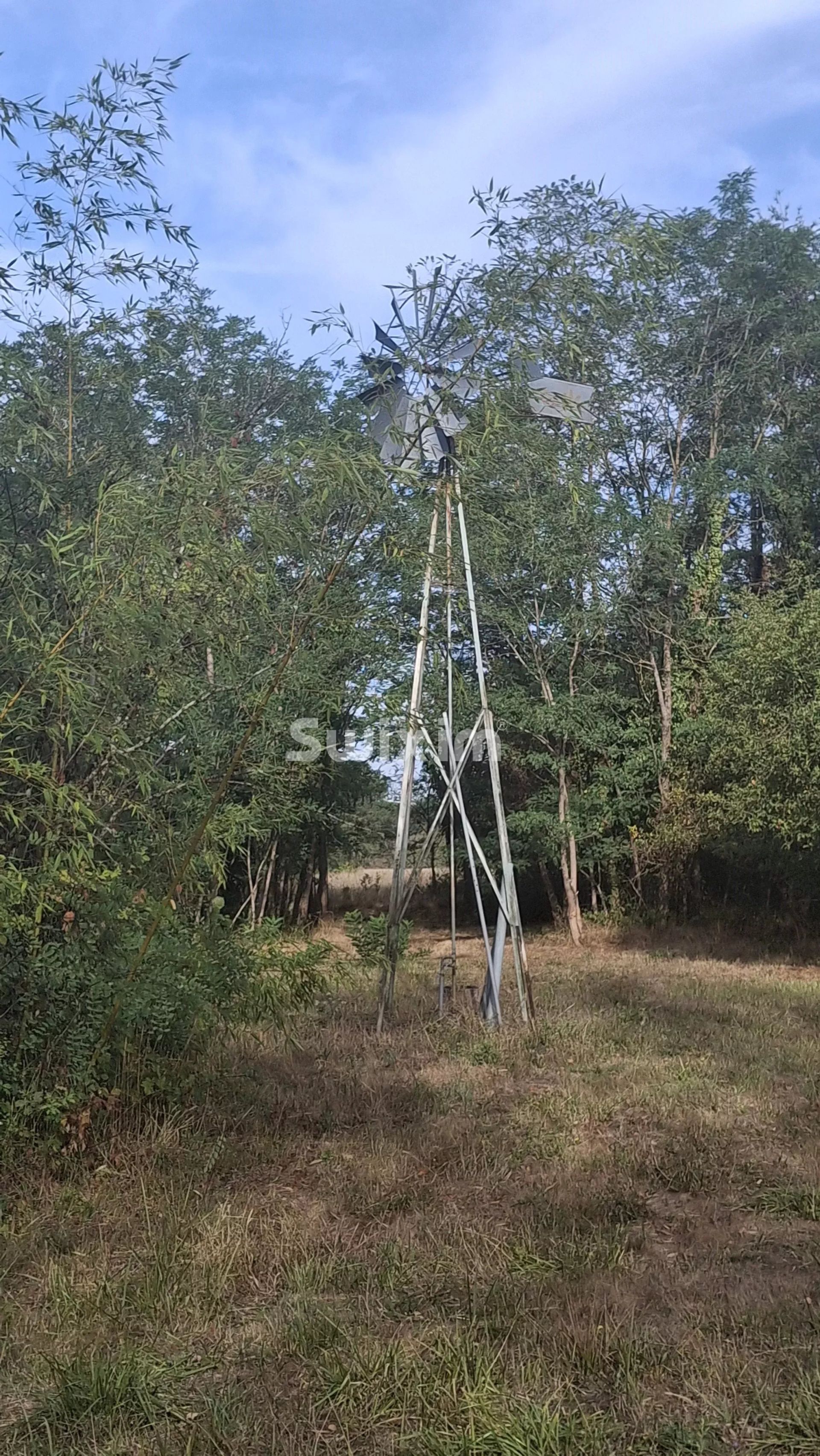 terreno in vendita su Le Controis-en-Sologne (41700)