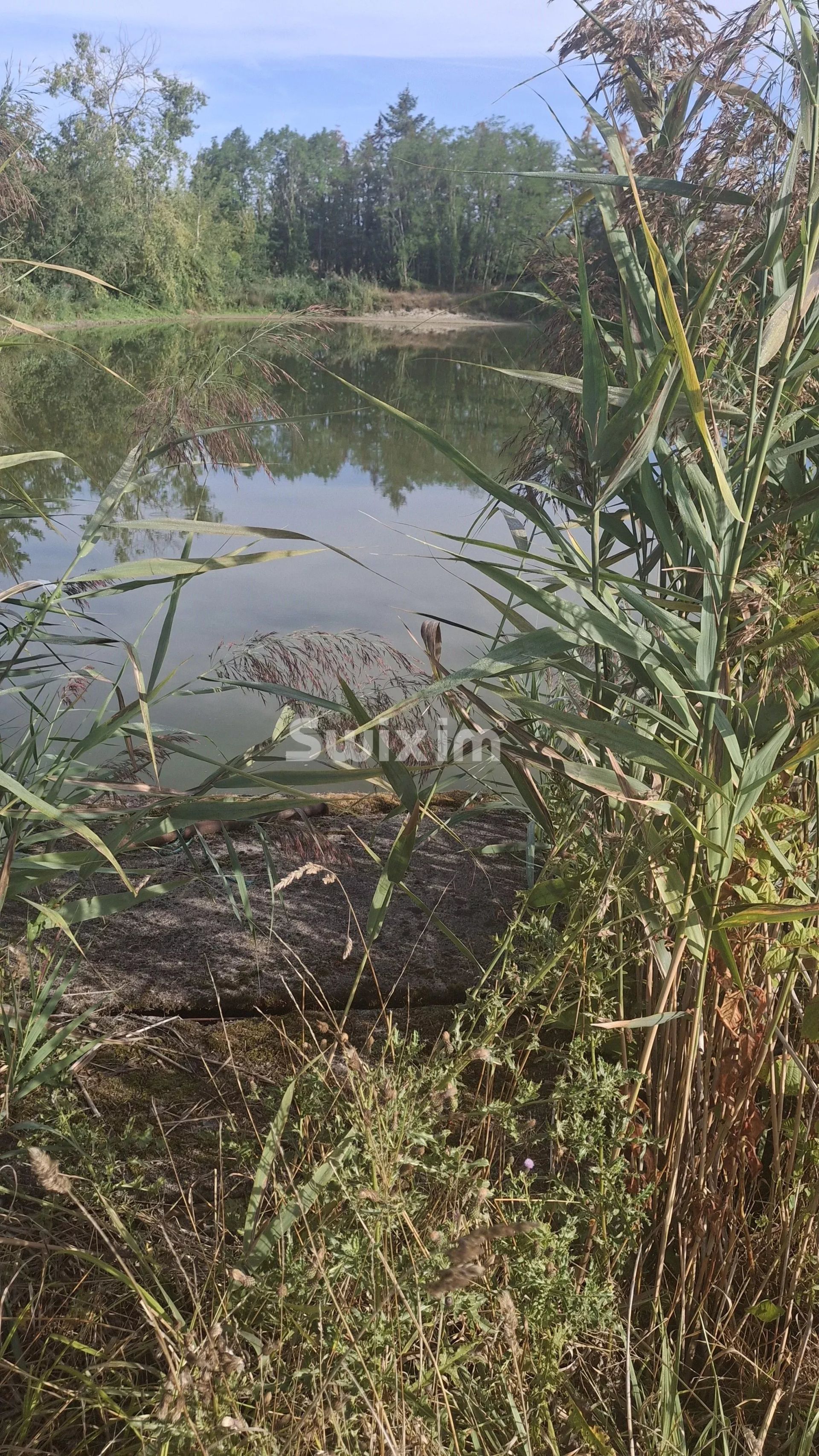 terreno in vendita su Le Controis-en-Sologne (41700)