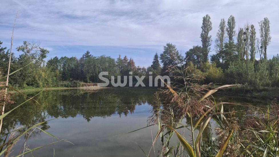 Vendita Terreno Le Controis-en-Sologne 1.14&nbsp;ha