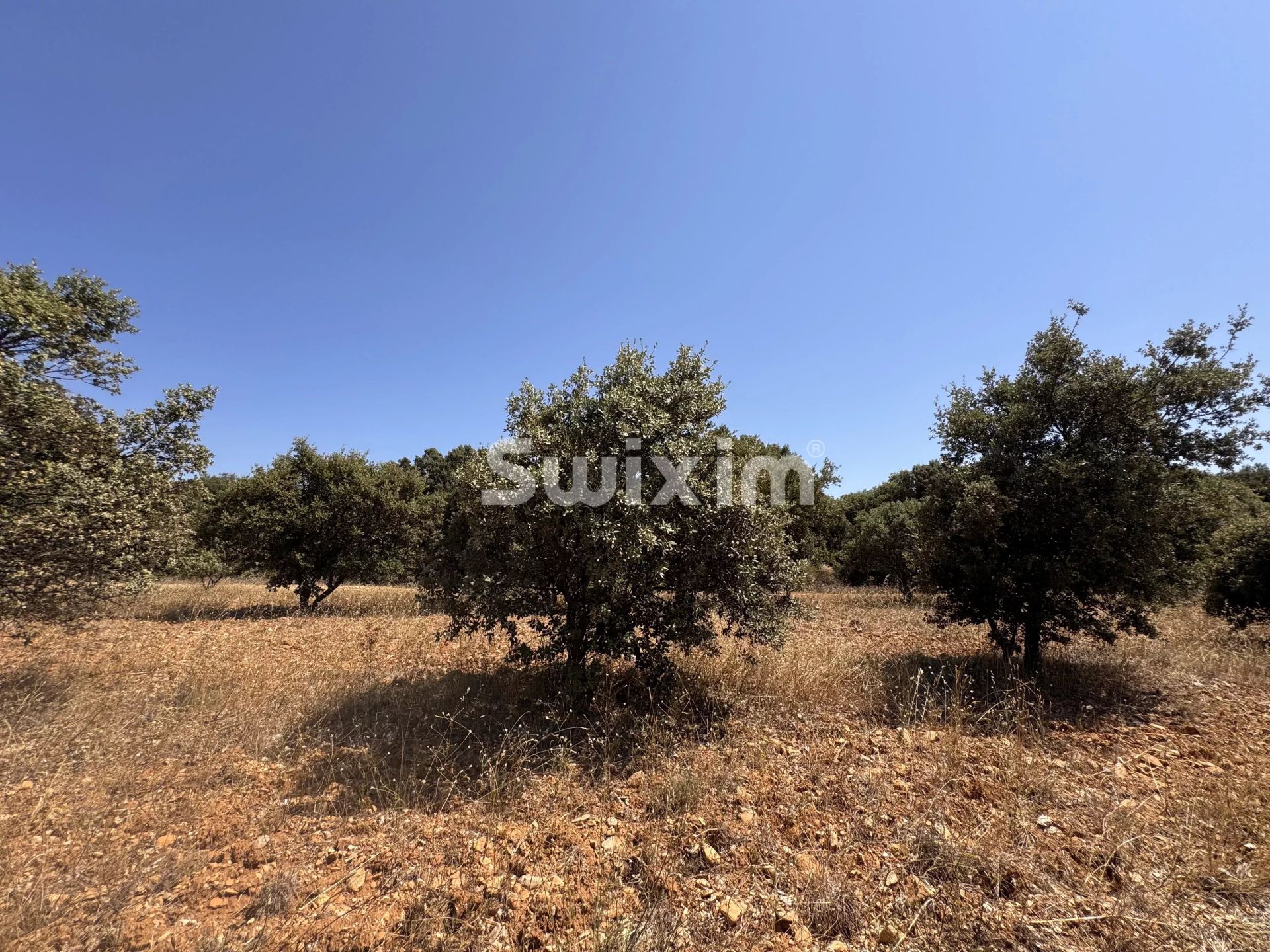 land for sale on Colonzelle (26230)