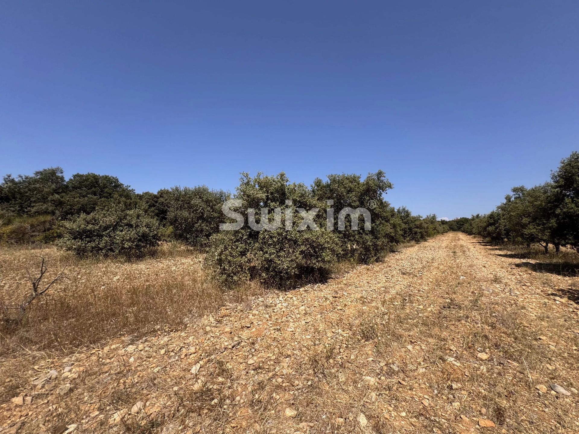land for sale on Colonzelle (26230)