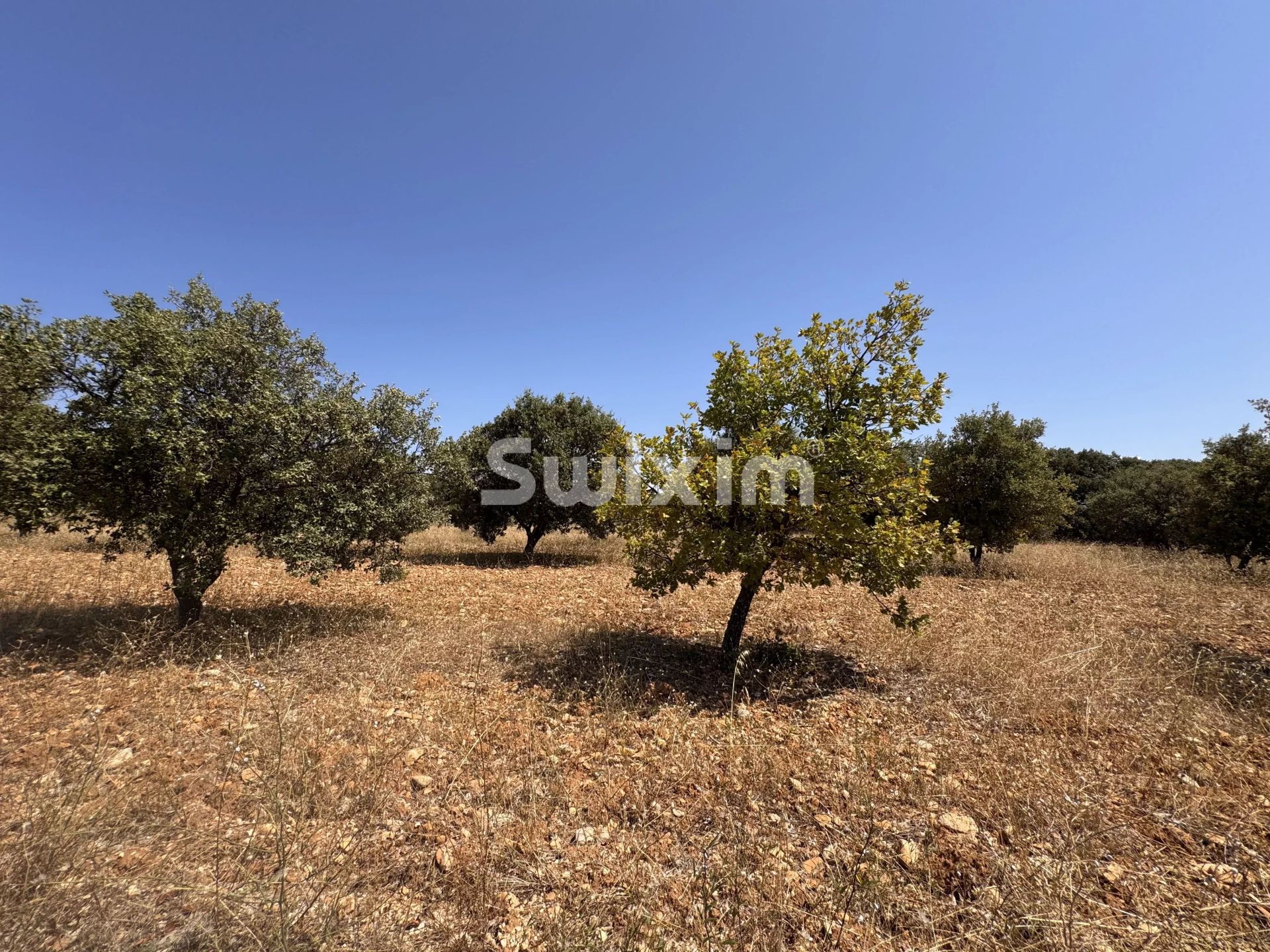 land for sale on Colonzelle (26230)