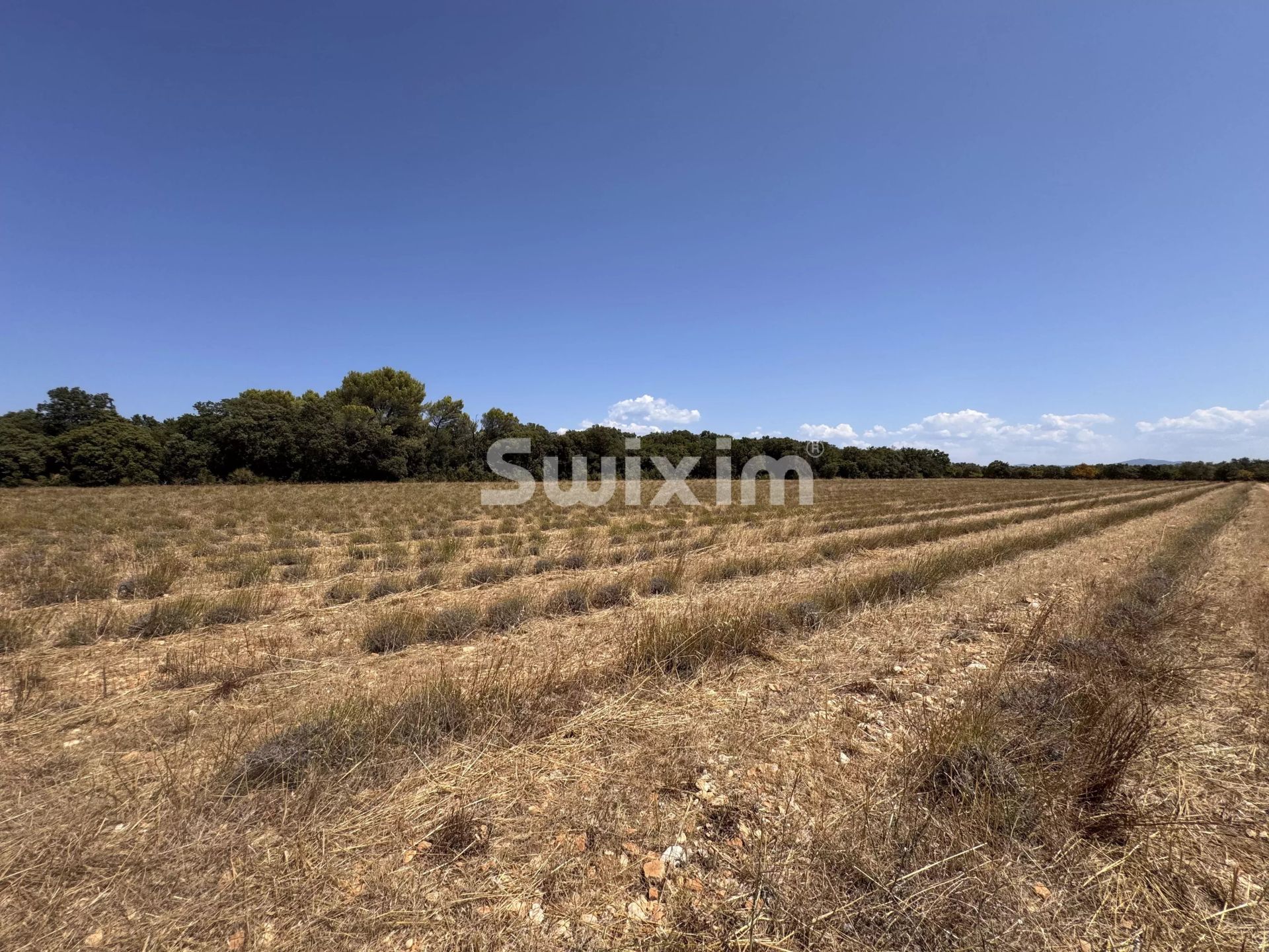land for sale on Colonzelle (26230)