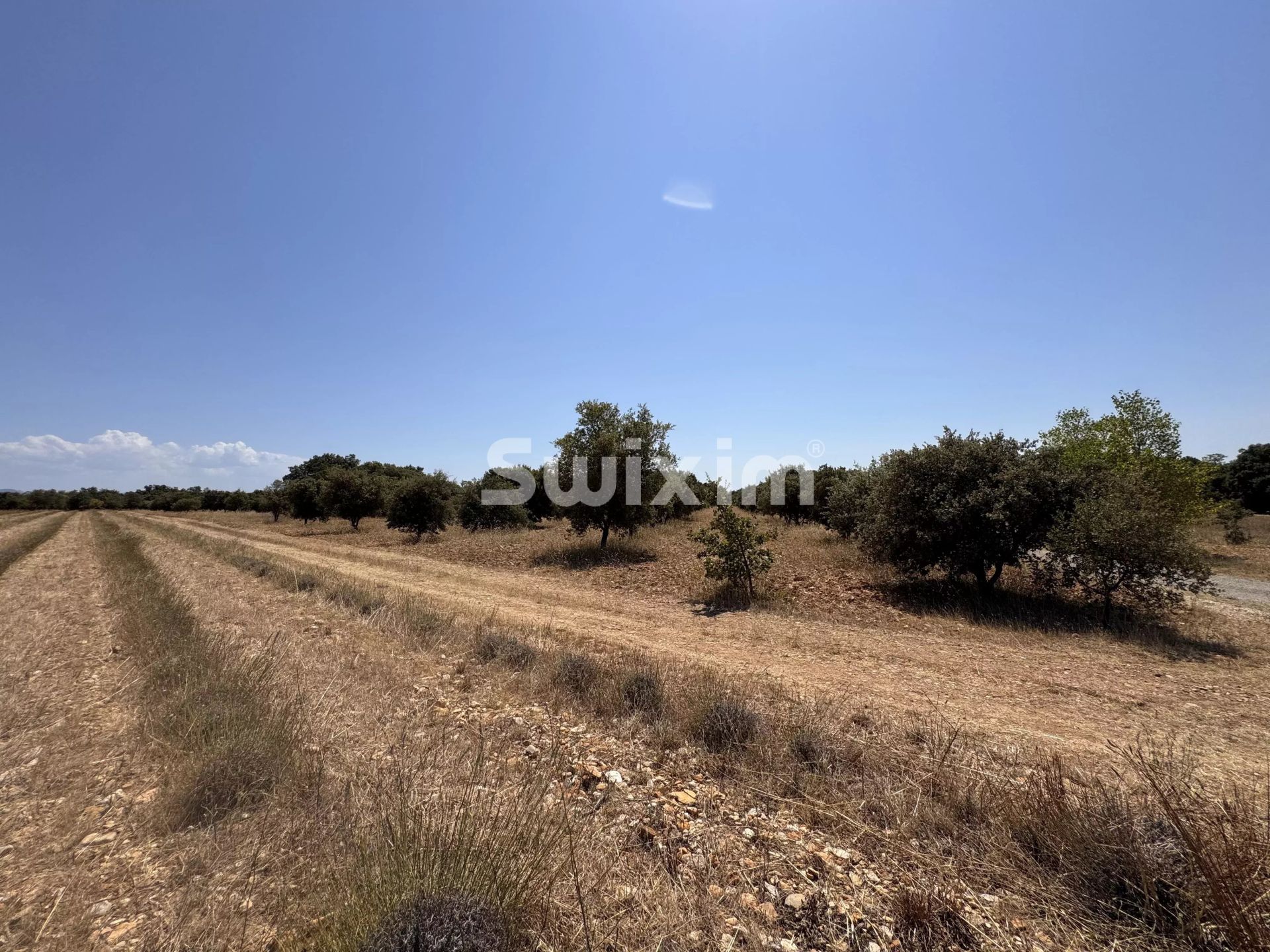 land for sale on Colonzelle (26230)