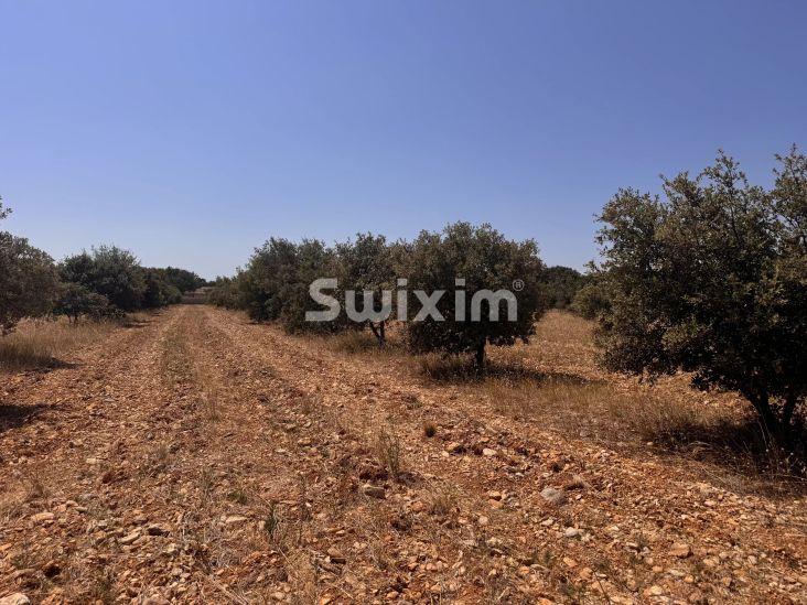 Sale Land Colonzelle 2.59&nbsp;ha