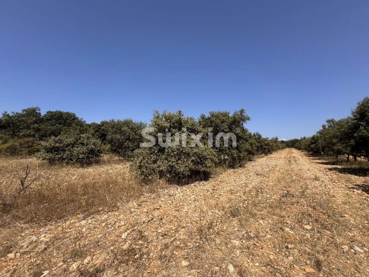 Sale Land Colonzelle 2.59&nbsp;ha
