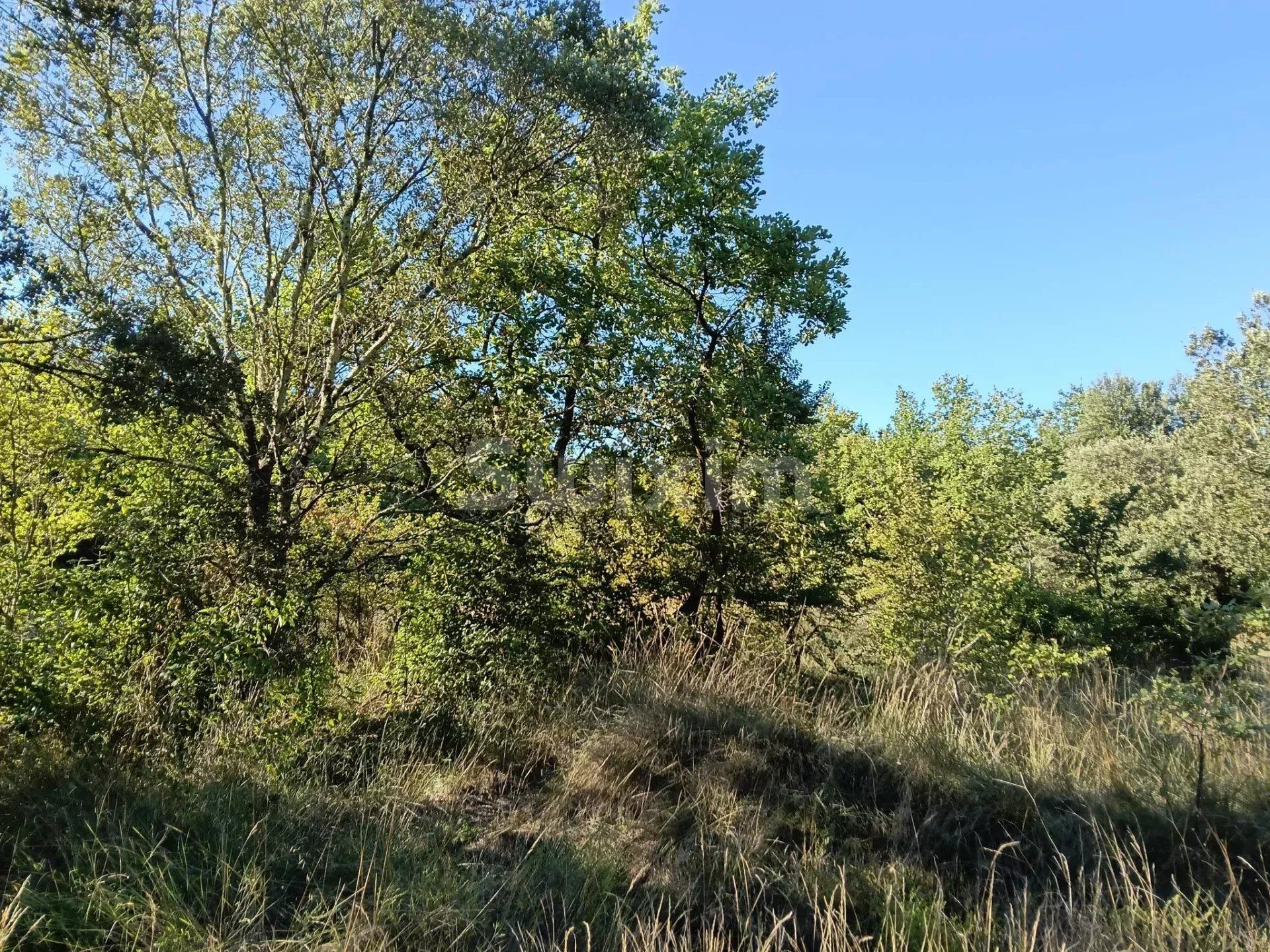 terrain en vente sur Blauzac (30700)
