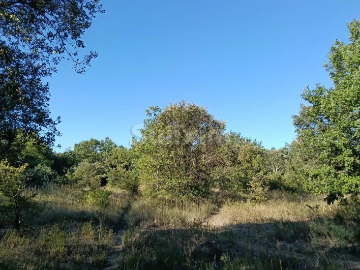 Vente Terrain Blauzac 5990&nbsp;m²