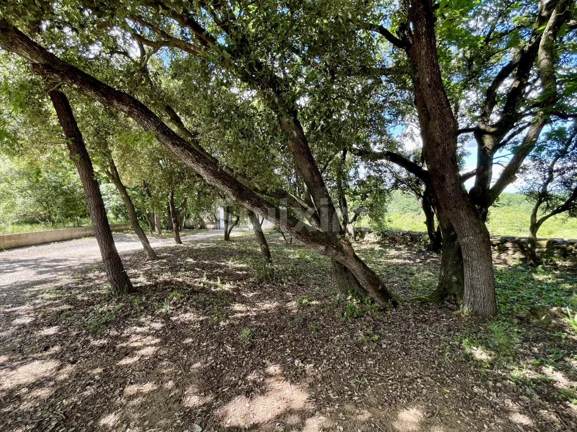 villa 5 Pièces en vente sur Cruviers-Lascours (30360)