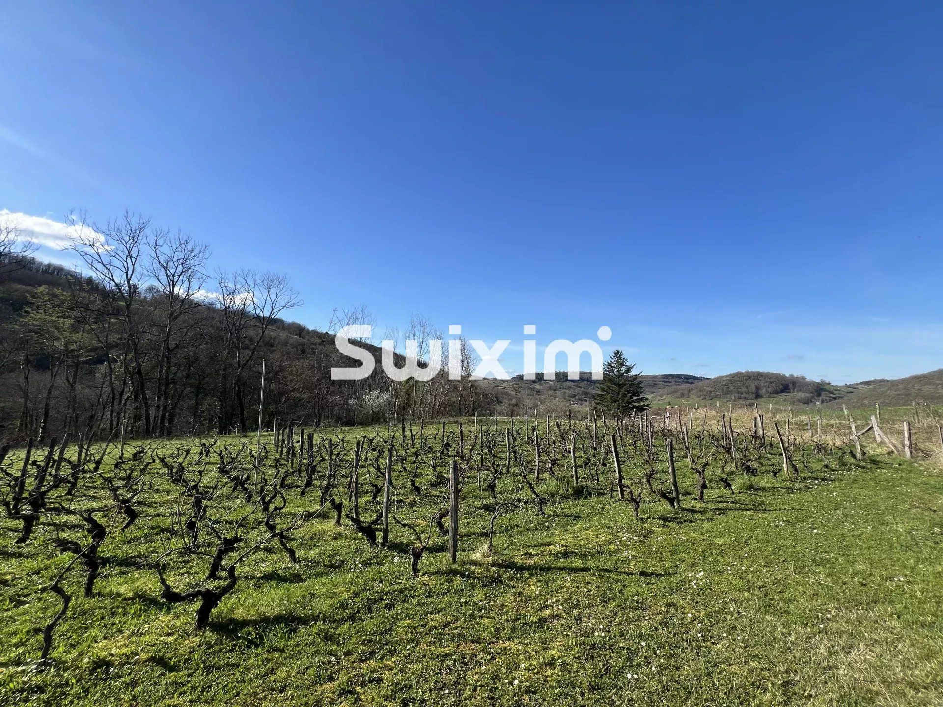 casa 12 Camere in vendita su Lons-le-Saunier (39000)