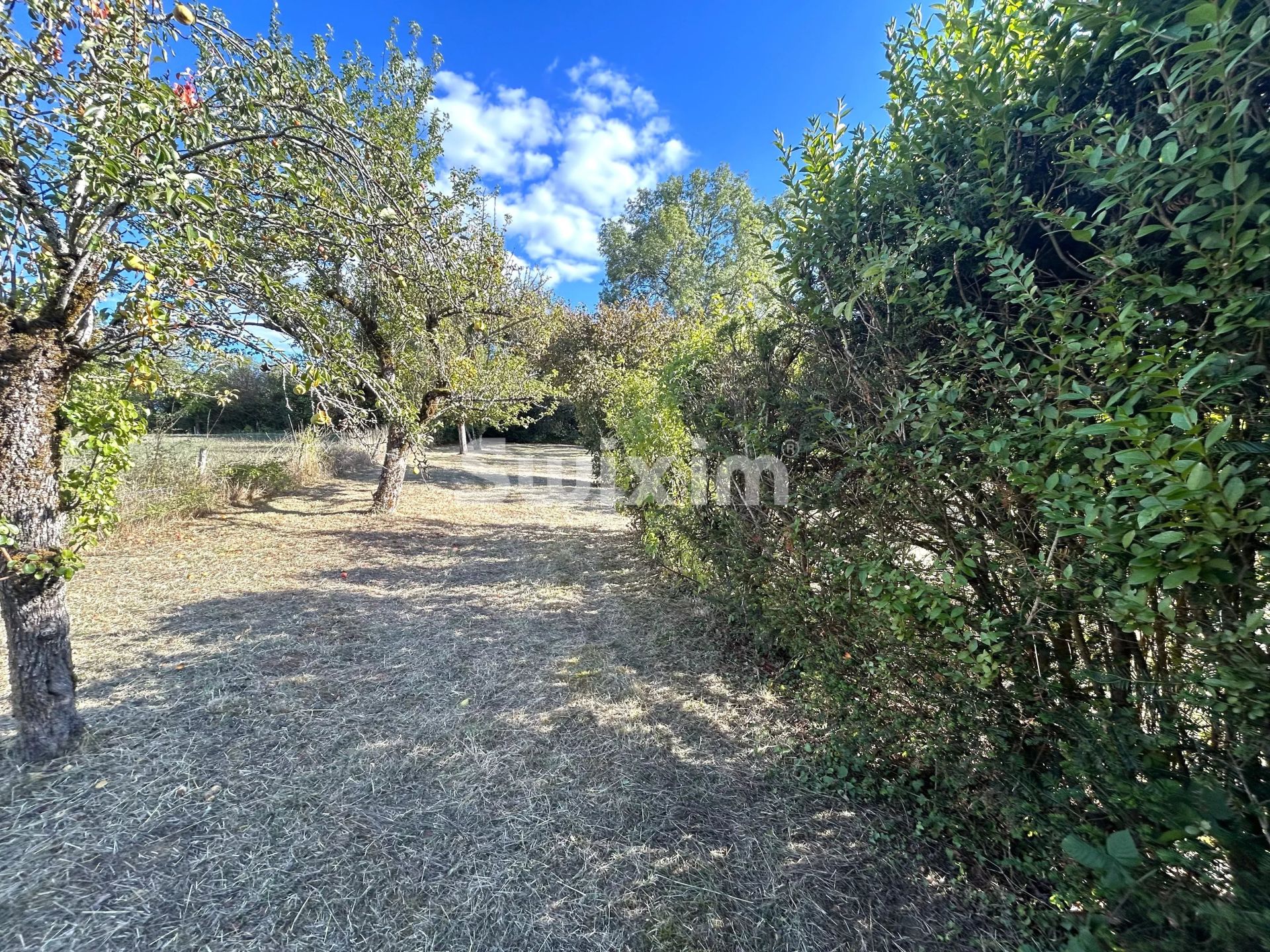 maison 4 Pièces en vente sur Saint-Père (89450)