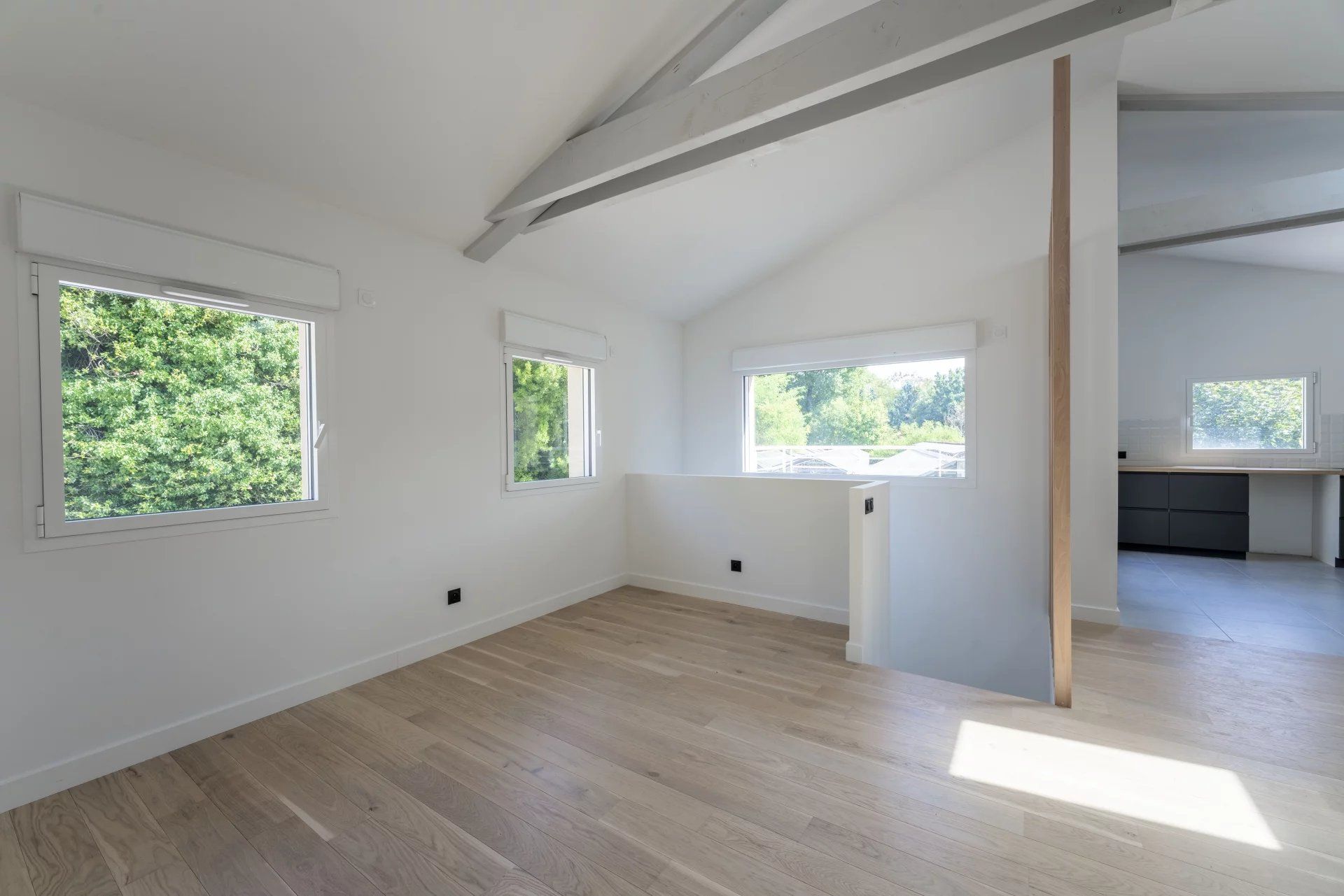 appartement 4 Pièces en vente sur Champagne-au-Mont-d'Or (69410)