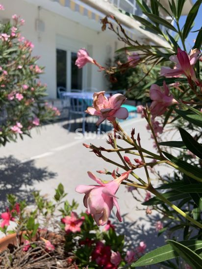 Vente Appartement Cavalaire-sur-Mer 3&nbsp;Pièces 55&nbsp;m²