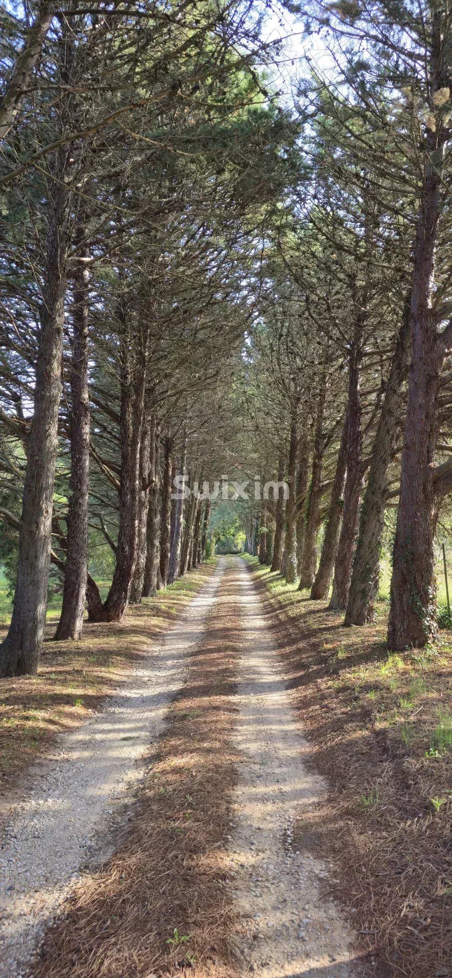 house 12 Rooms for sale on Dieulefit (26220)