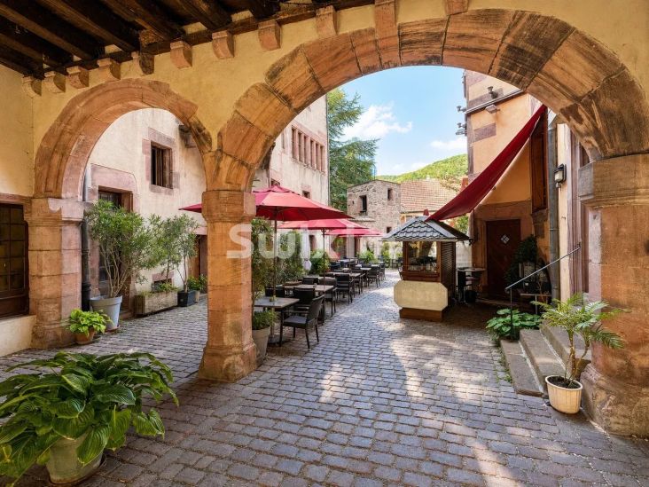 Vente Commerce Kaysersberg Vignoble 48&nbsp;Pièces 1760&nbsp;m²