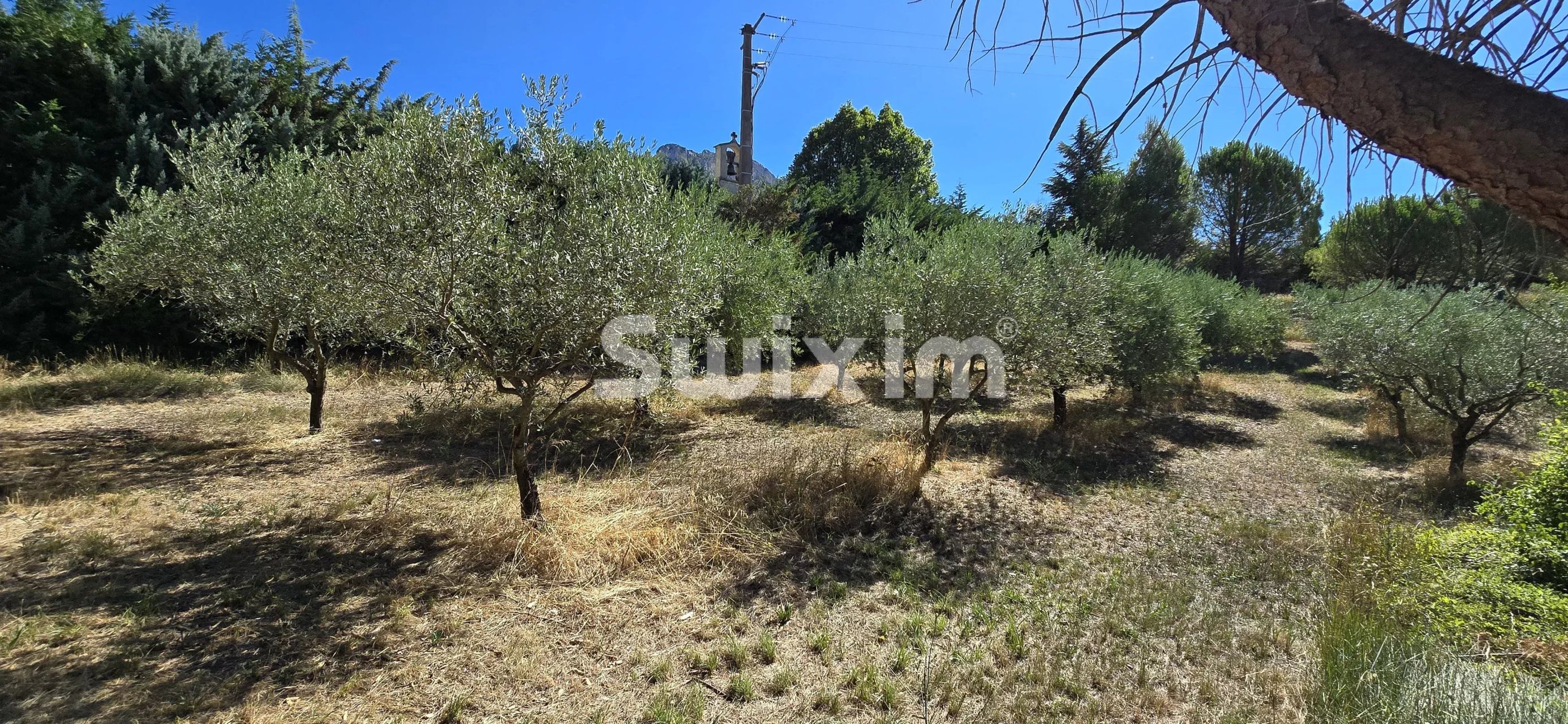 maison 12 Pièces en vente sur Buis-les-Baronnies (26170)