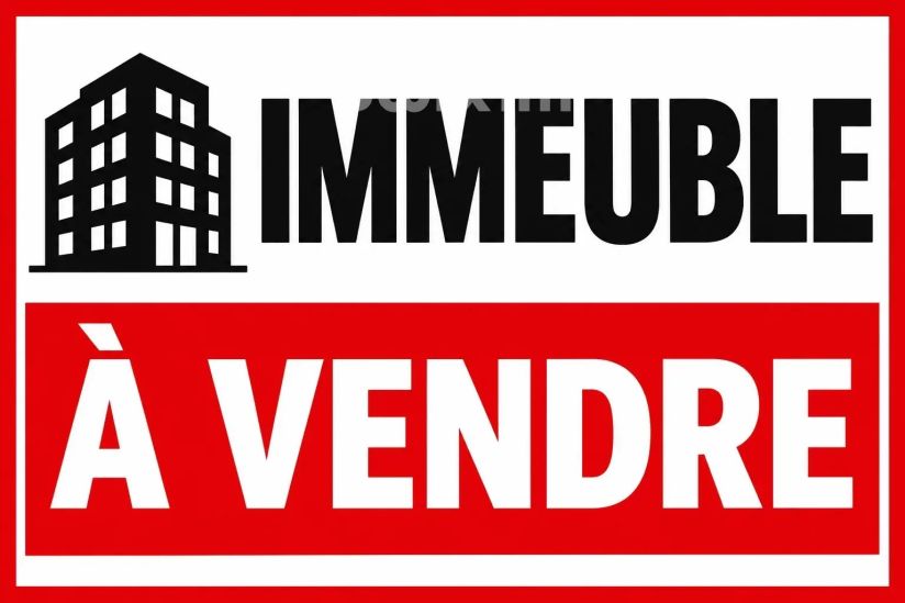 Vente Immeuble Haguenau 447.27&nbsp;m²