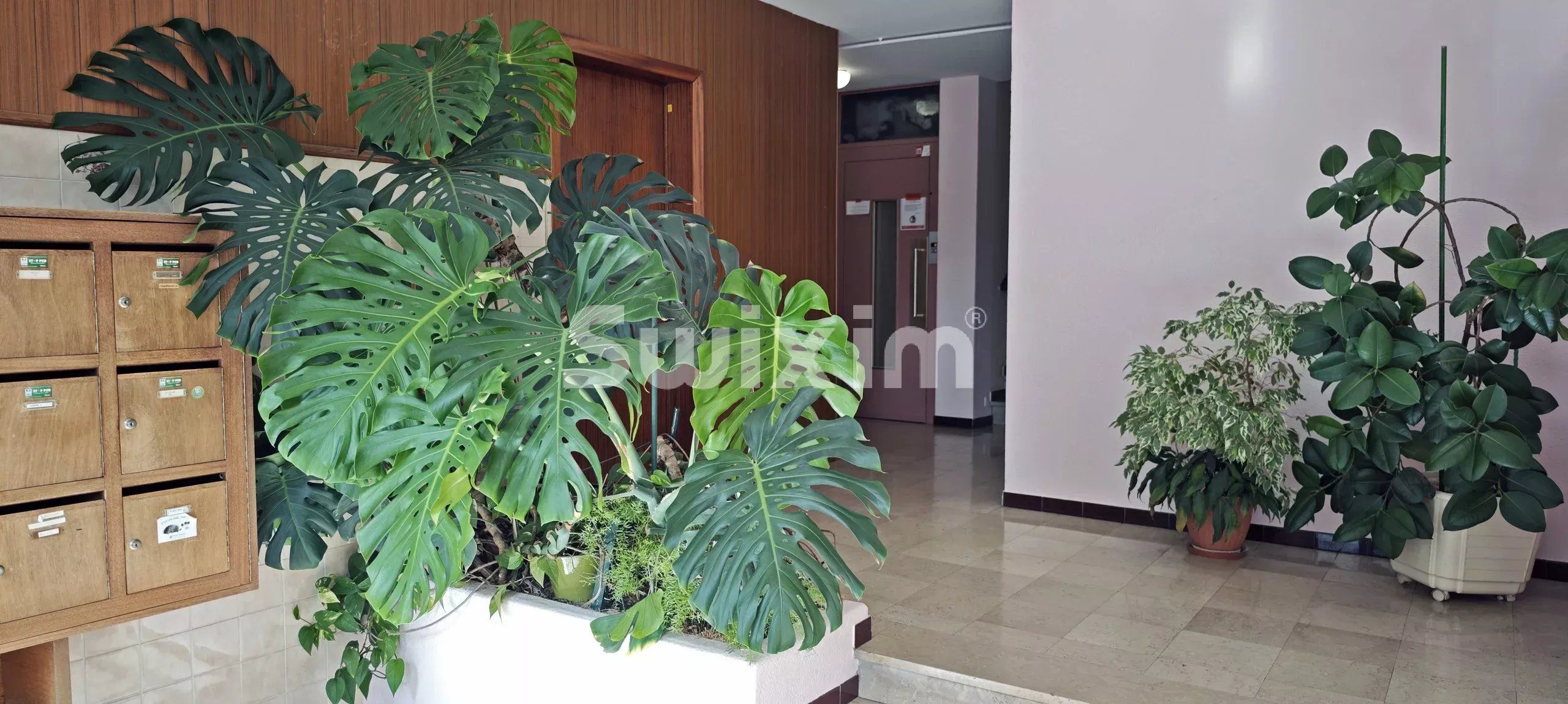 appartement 3 Pièces en vente sur Dole (39100)