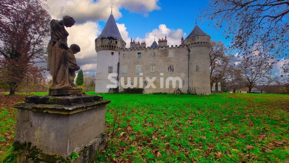 Vente Château Nevers 40&nbsp;Pièces 300&nbsp;m²