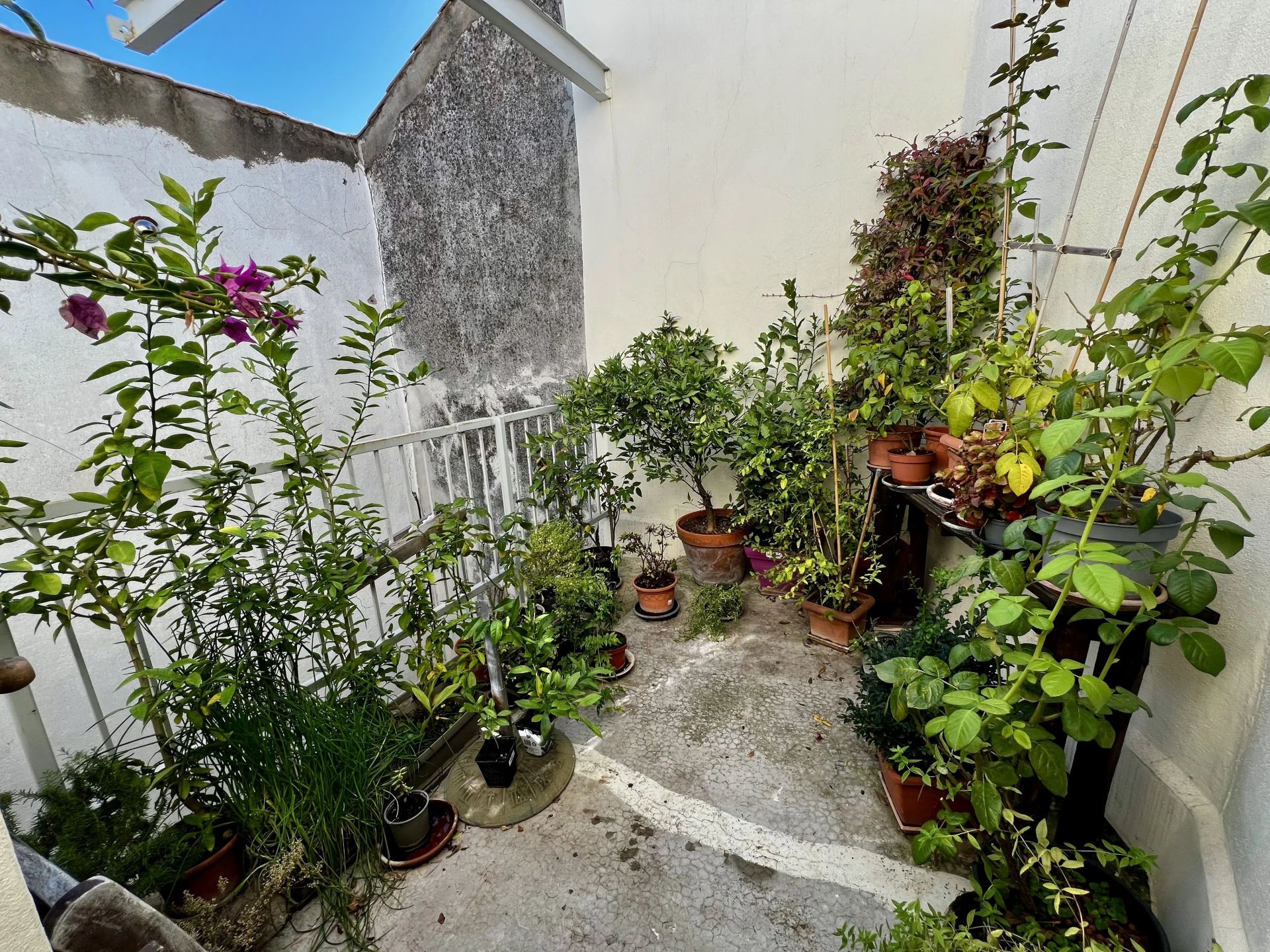 appartement 3 Pièces en vente sur Béziers (34500)
