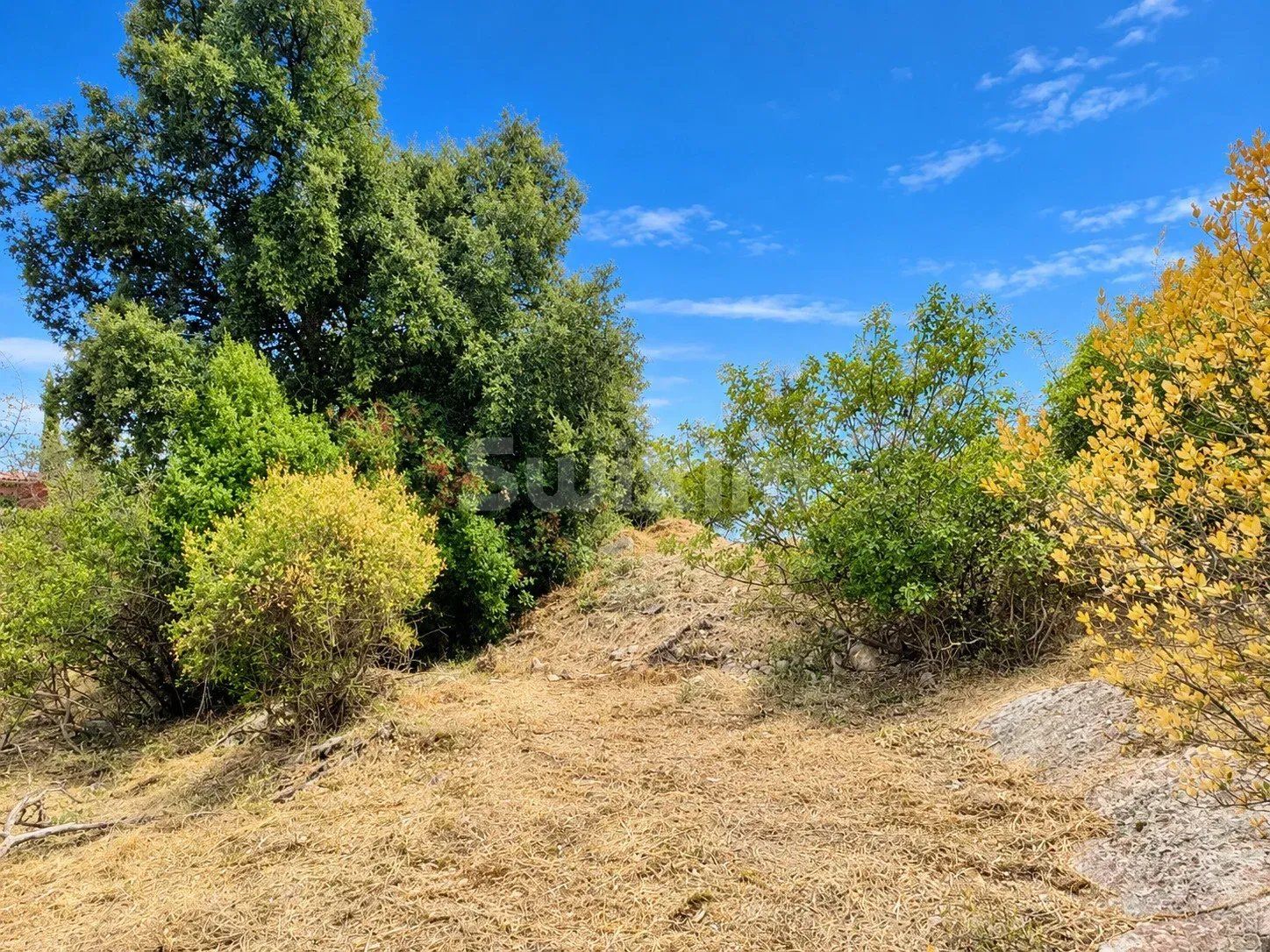 terrain en vente sur Saint-Martin-de-Valgalgues (30520)