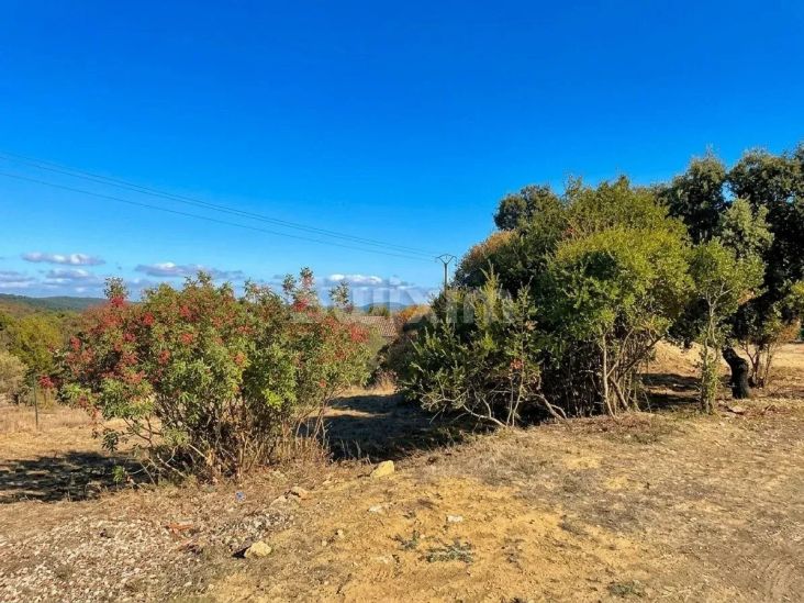 Vente Terrain Saint-Martin-de-Valgalgues 1004&nbsp;m²