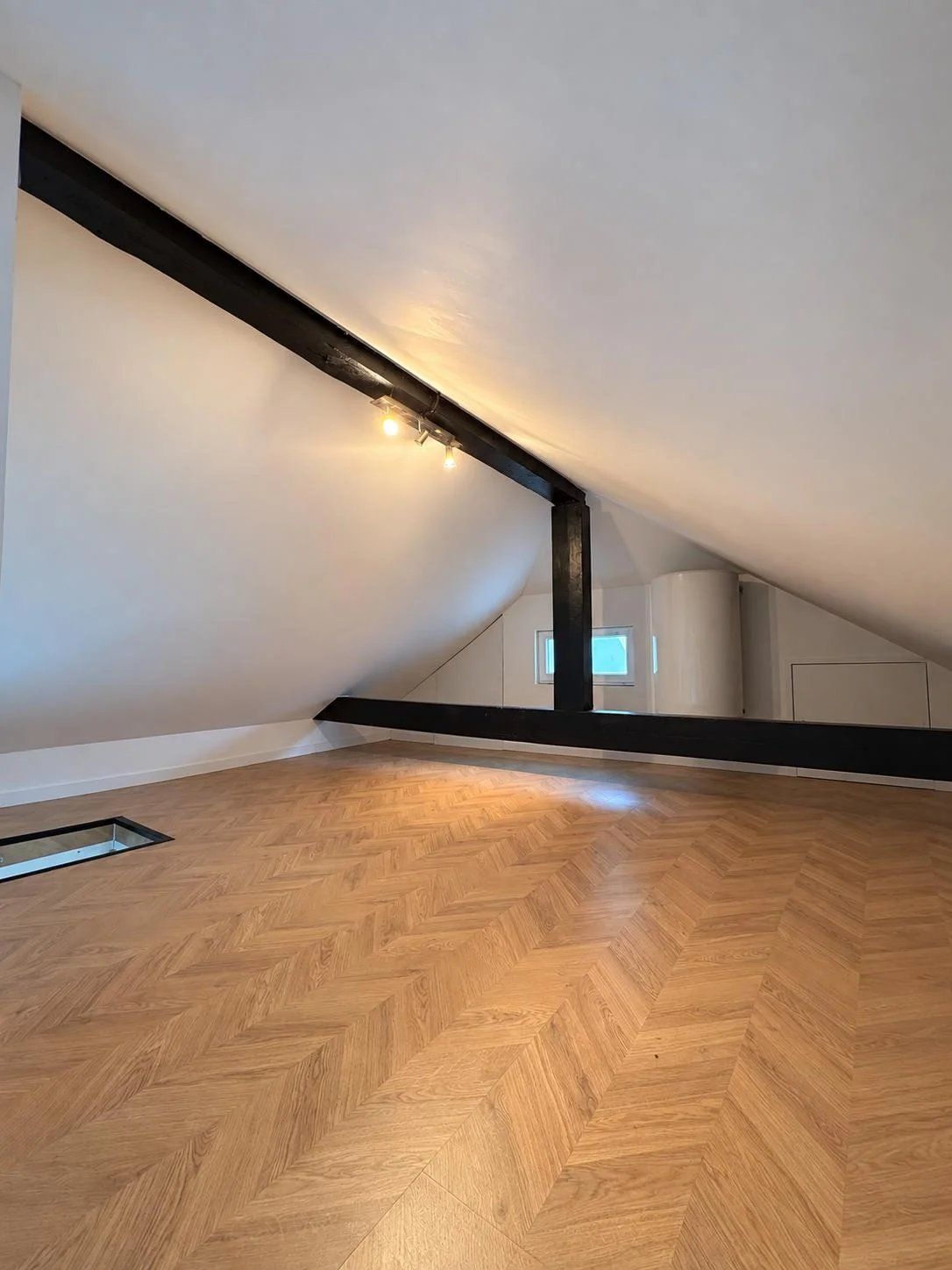 appartement 3 Pièces en vente sur Gex (01170)