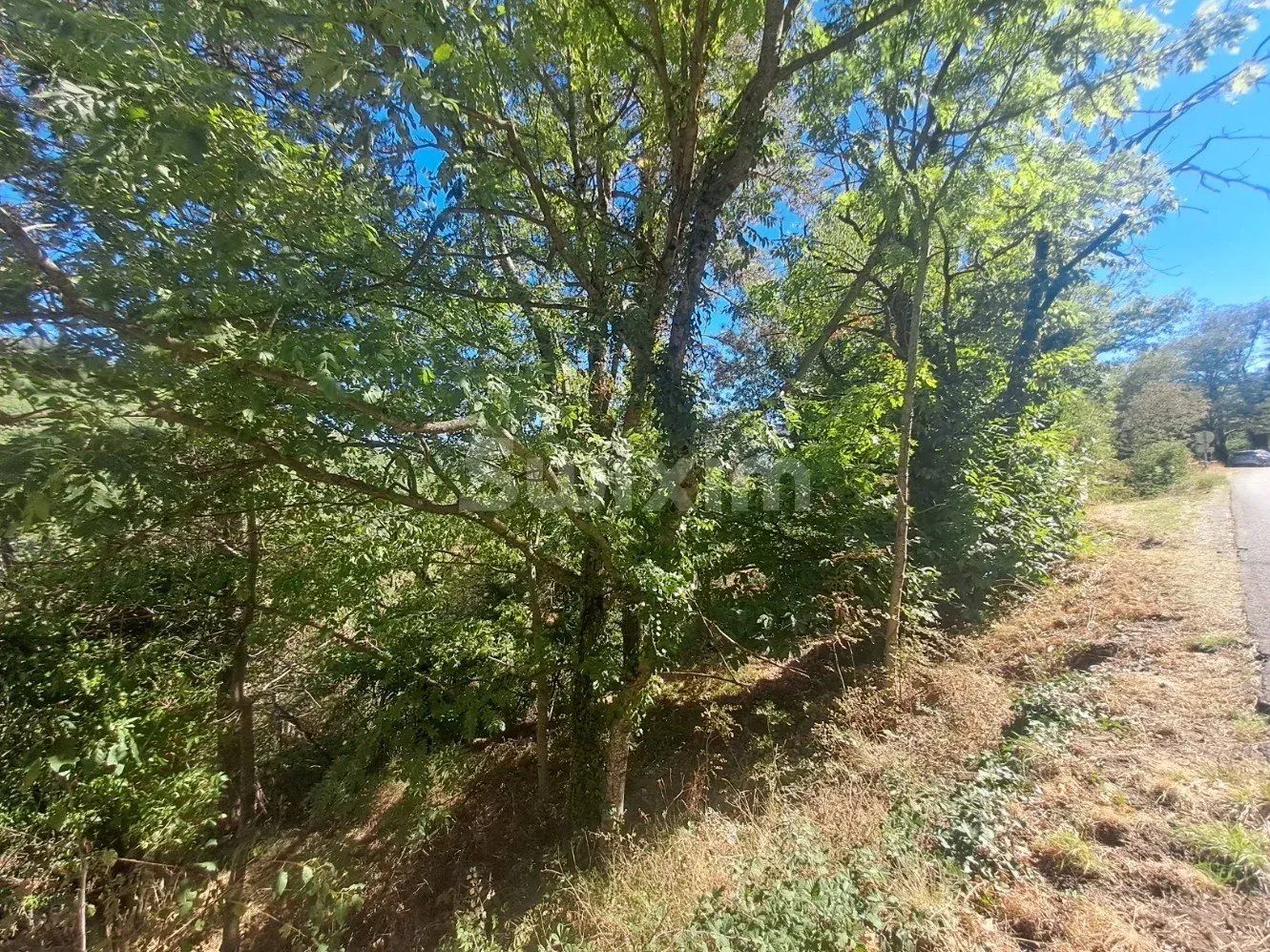 terrain en vente sur Vialas (48220)