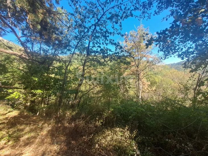 Vente Terrain Vialas 3133&nbsp;m²