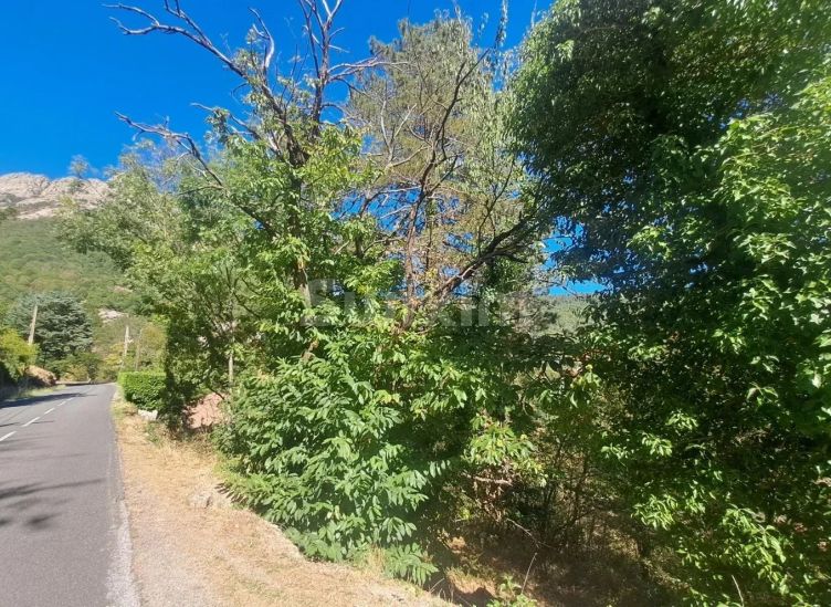 Vente Terrain Vialas 3133&nbsp;m²