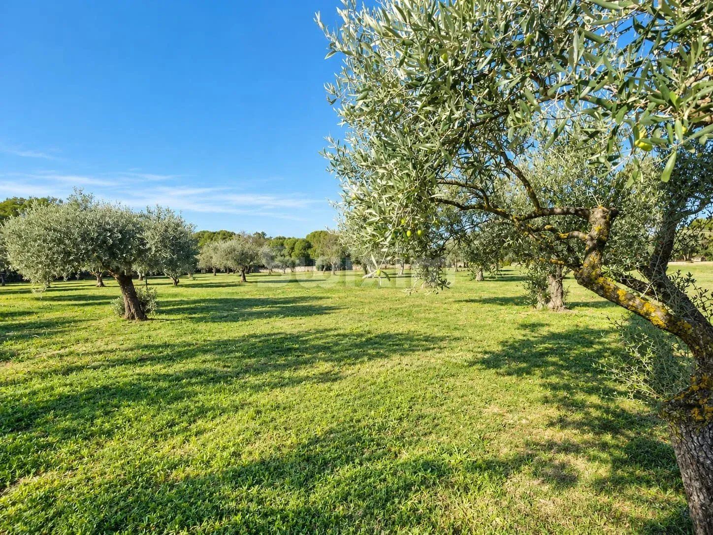 terrain en vente sur Uzès (30700)