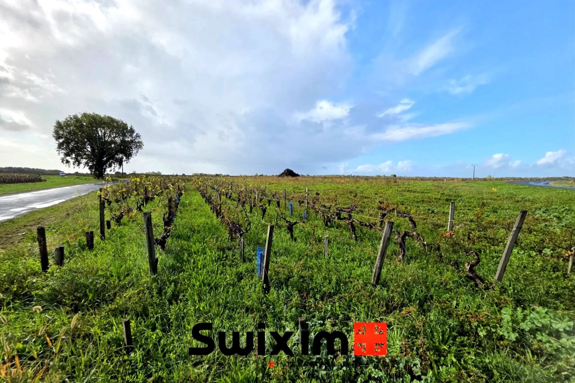 terrain agricole en vente sur Saint-Estèphe (33180)