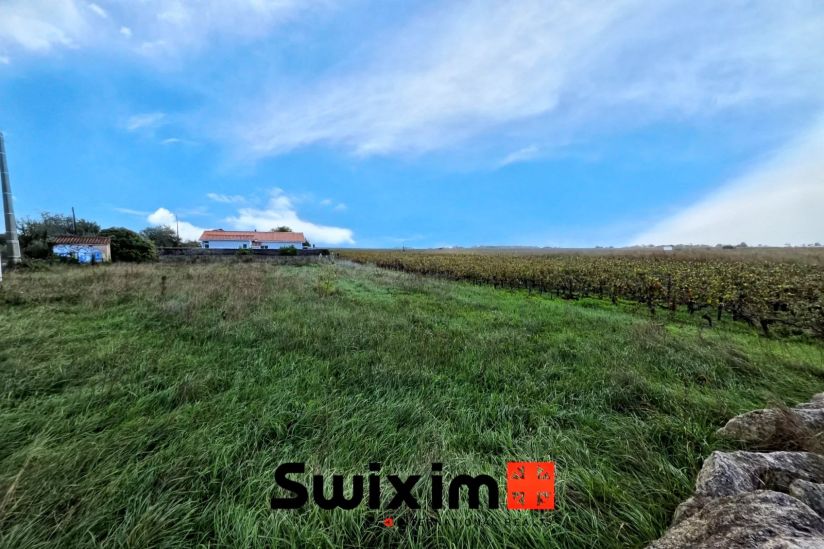Vente Terrain agricole Saint-Estèphe 2280&nbsp;m²