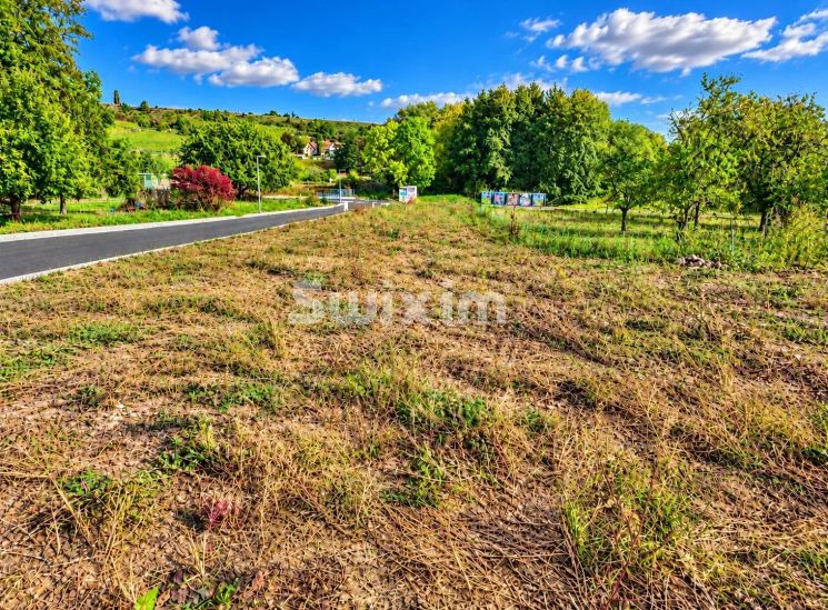 Vente Terrain Orschwihr 1290&nbsp;m²