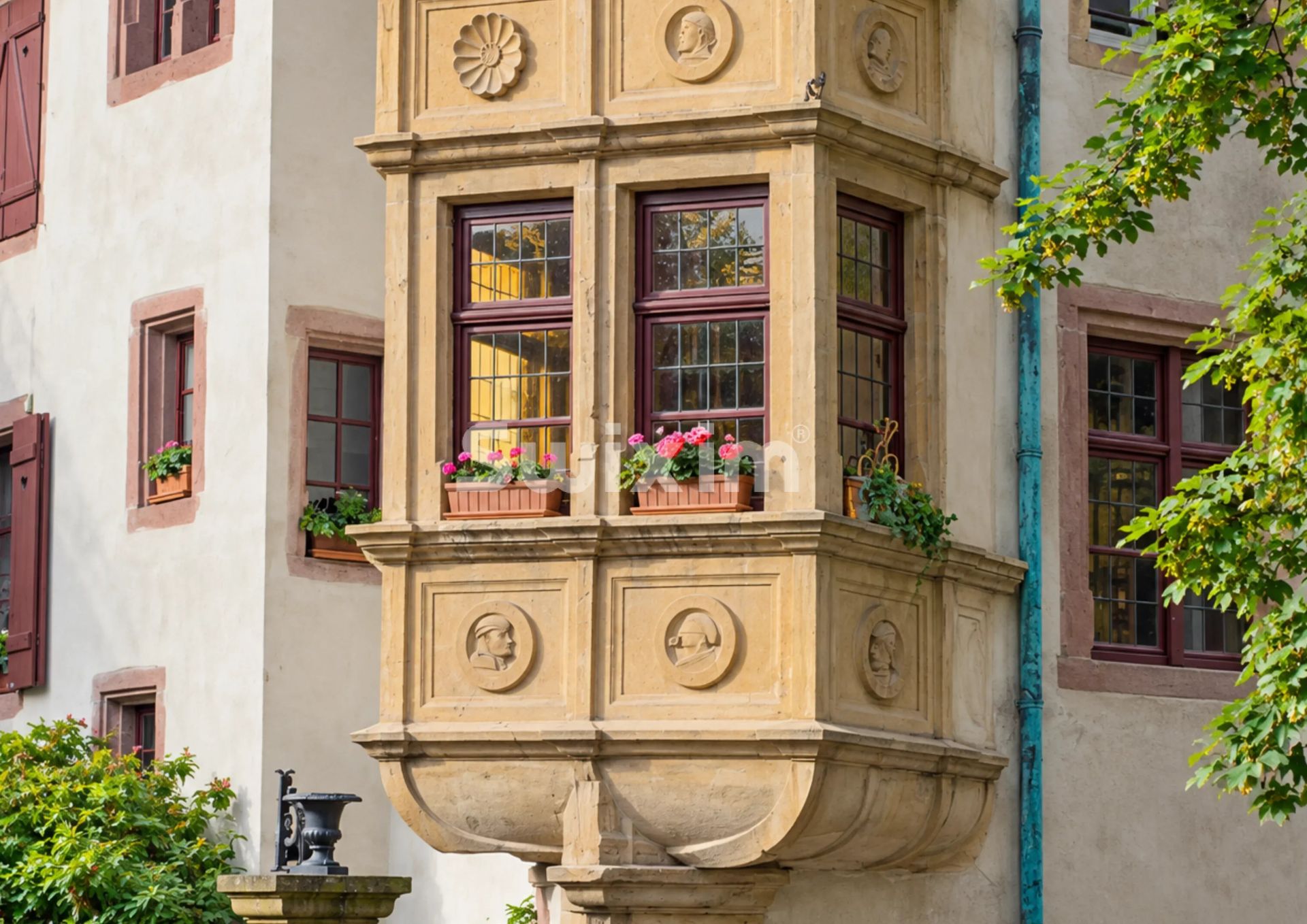 maison 30 Pièces en vente sur Ribeauville (02110)