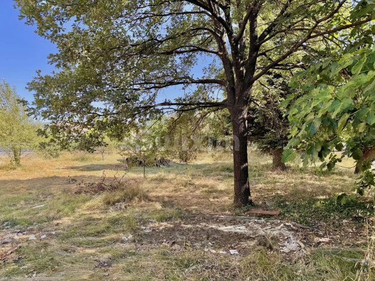Vente Terrain Saint-Julien-les-Rosiers 991&nbsp;m²