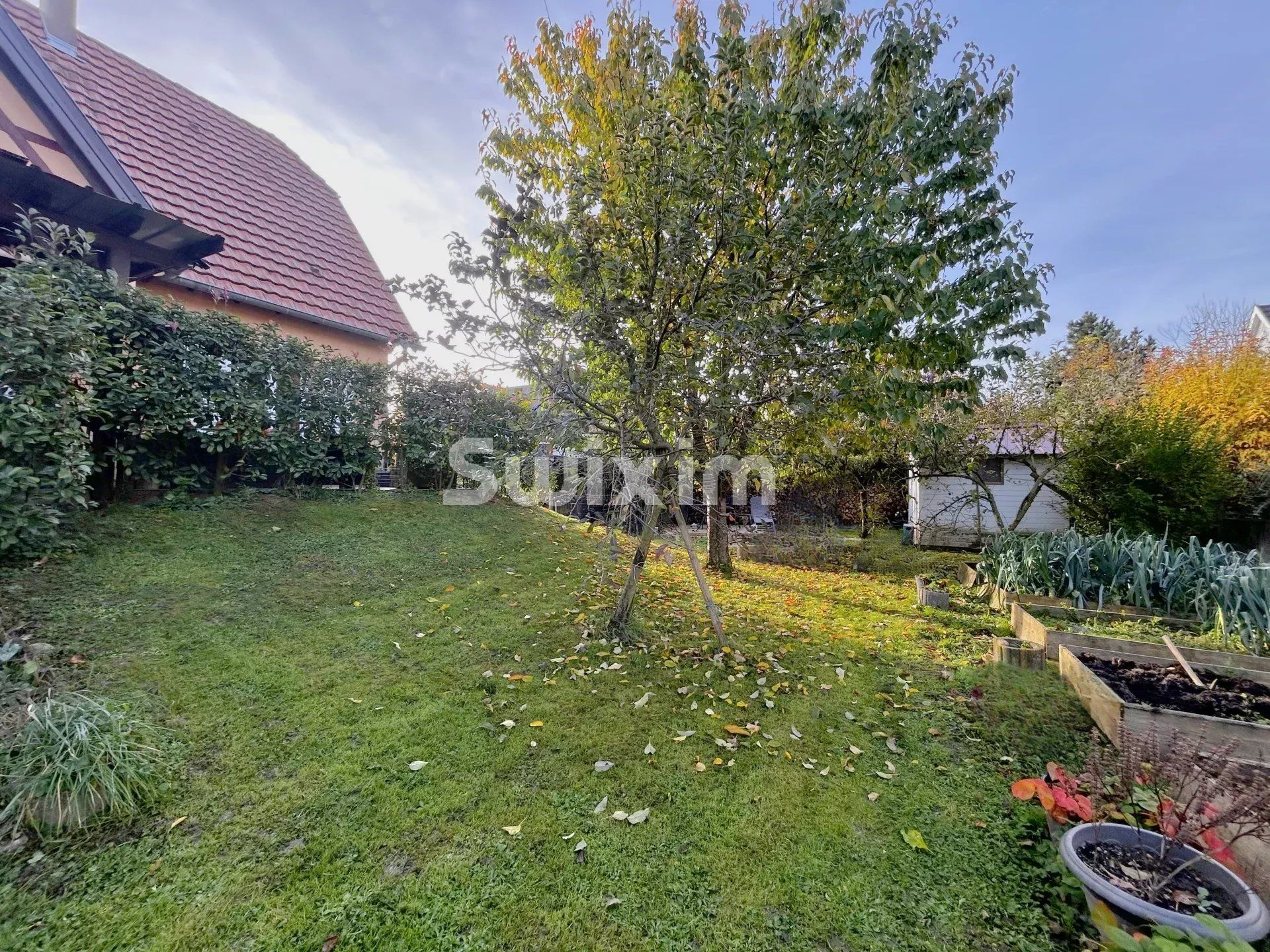 maison 6 Pièces en vente sur Ribeauvillé (68150)