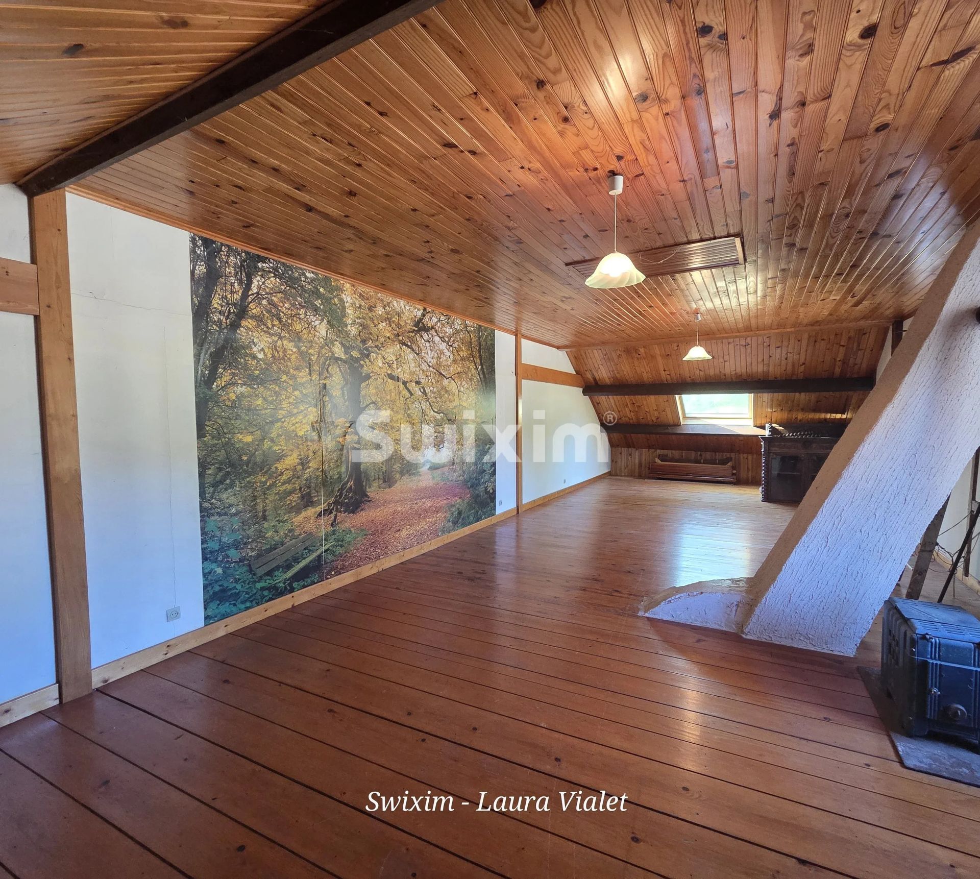 maison 5 Pièces en vente sur Mantry (39230)