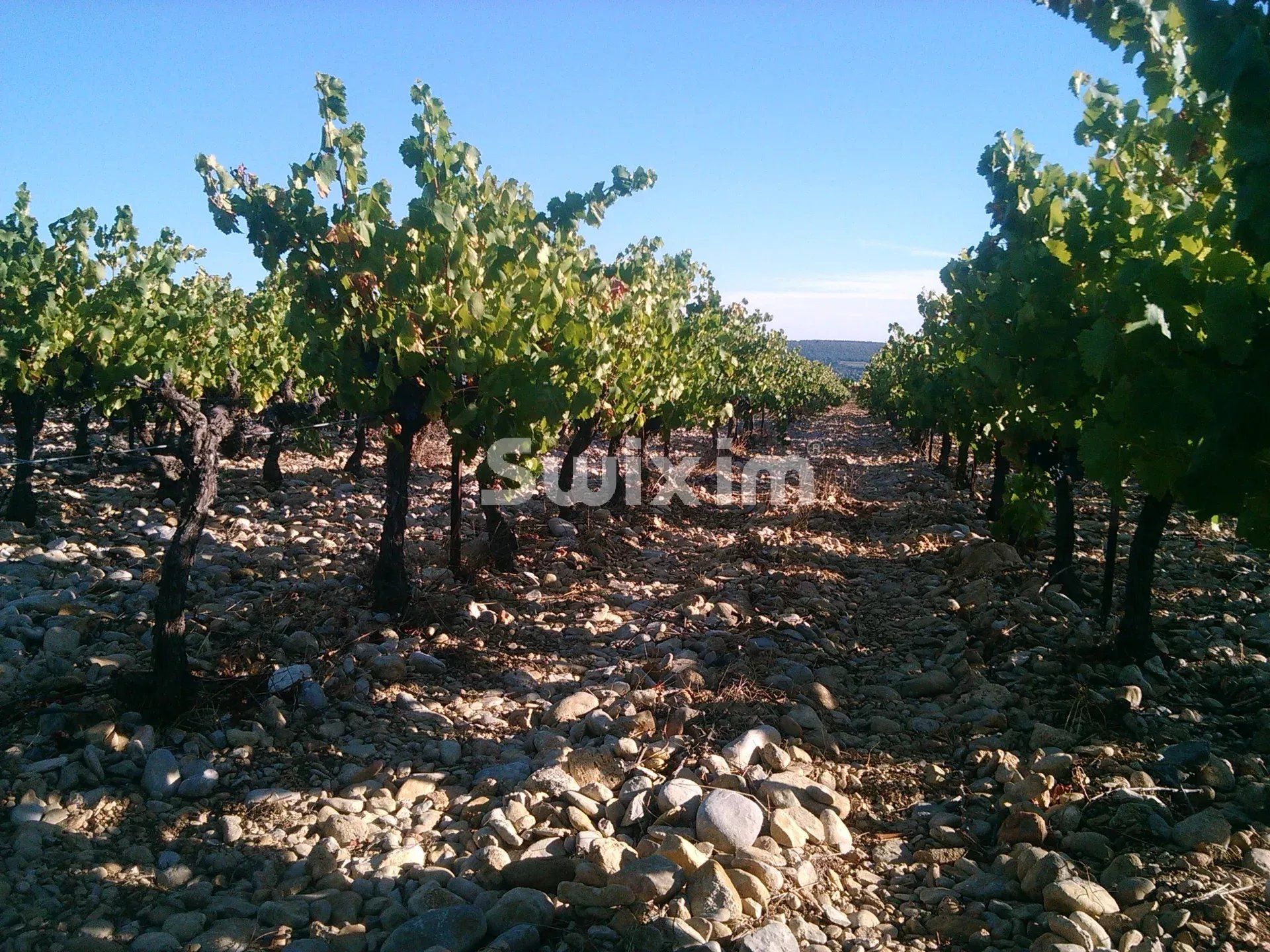 wine estate 8 Rooms for sale on Tulette (26790)
