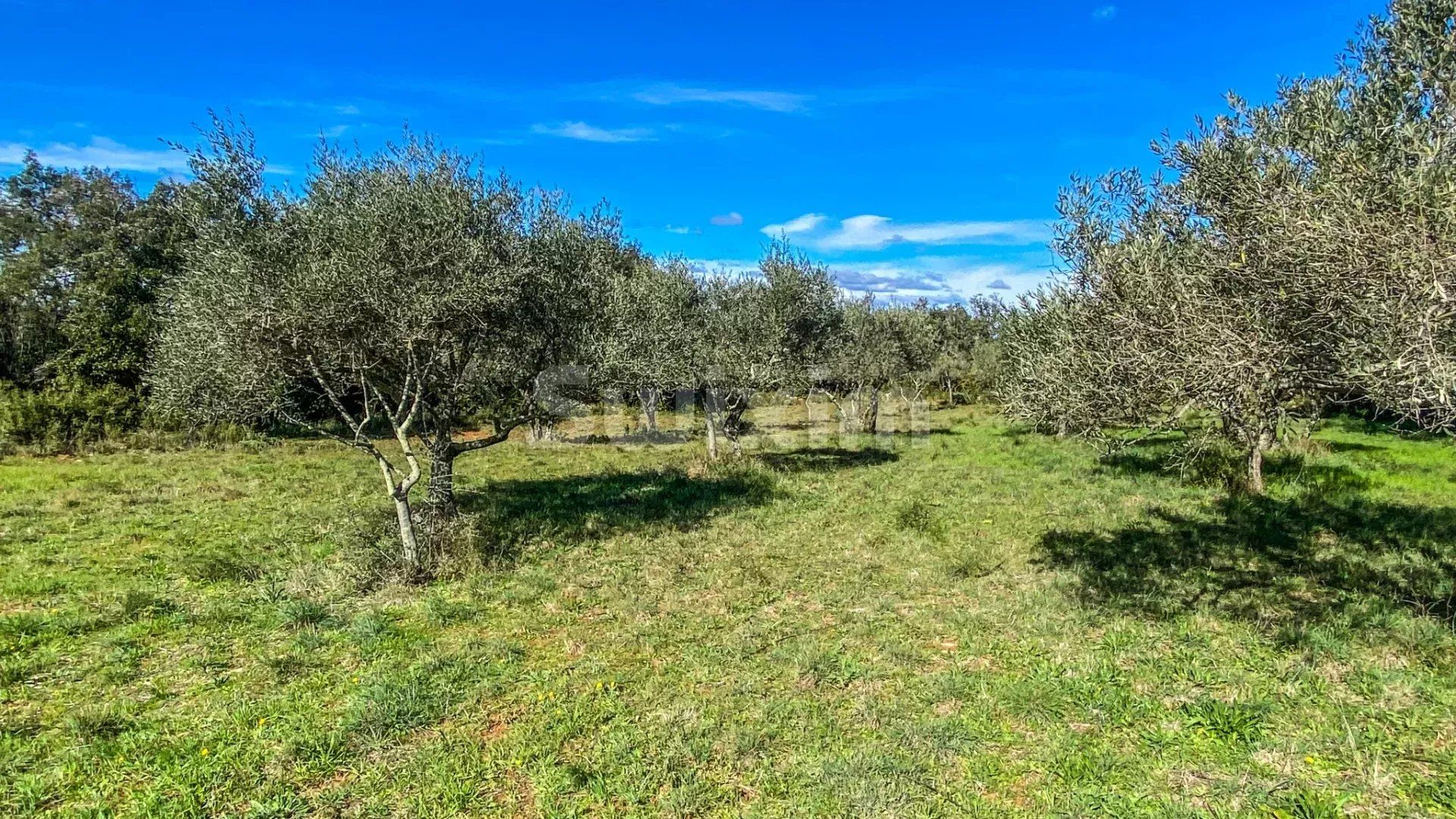 terrain en vente sur Saint-Siffret (30700)