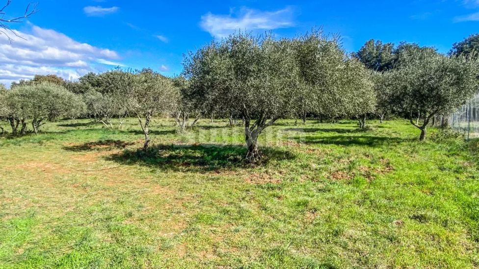 Vente Terrain Saint-Siffret 1764 m²