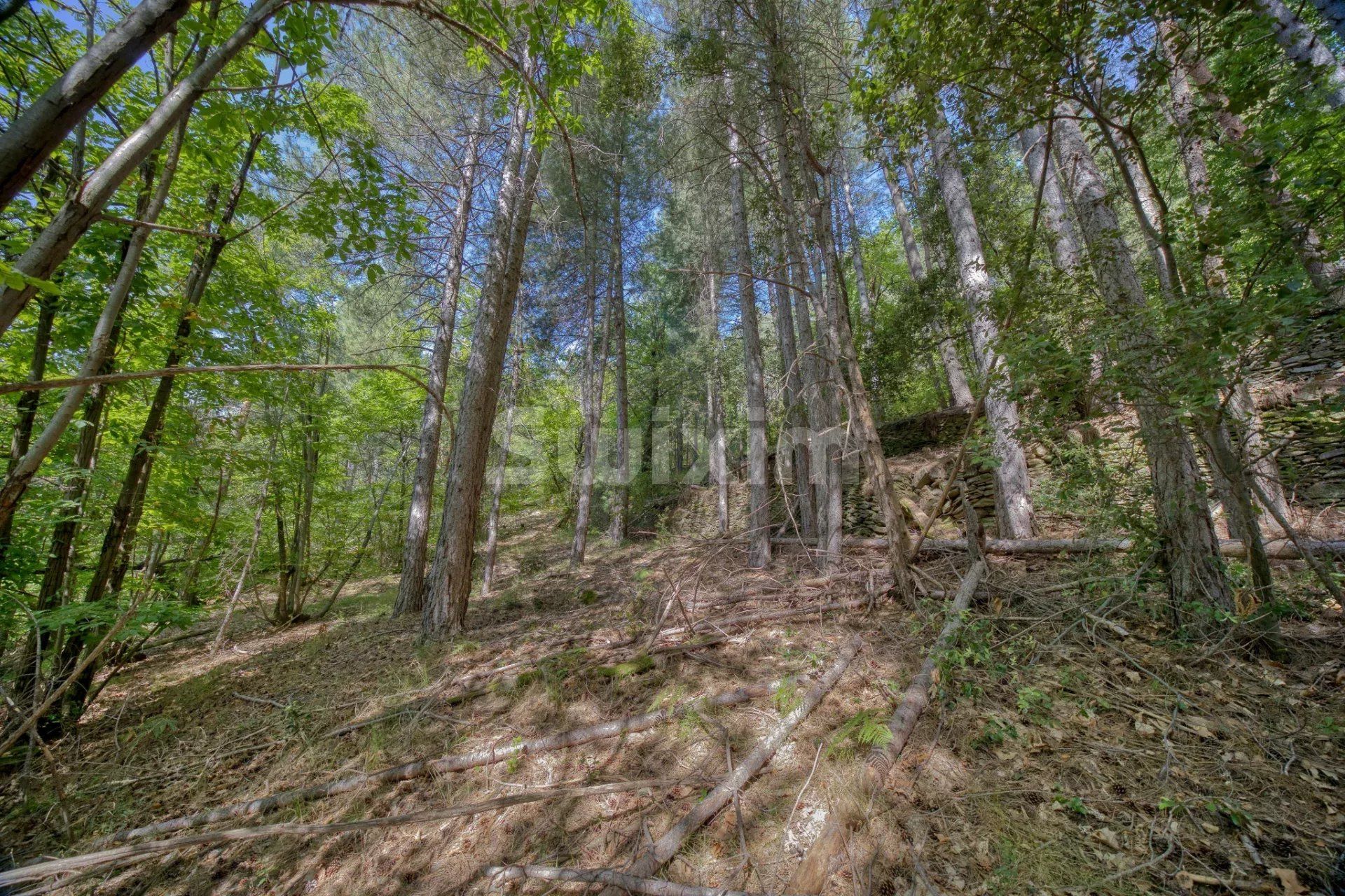 terreno en venta en Concoules (30450)