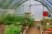 property 11 Rooms for sale on Boffres (07440)