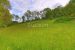 property 11 Rooms for sale on Boffres (07440)