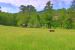 property 11 Rooms for sale on Boffres (07440)