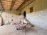 casa 14 Quartos para venda sobre Sauzet (26740)